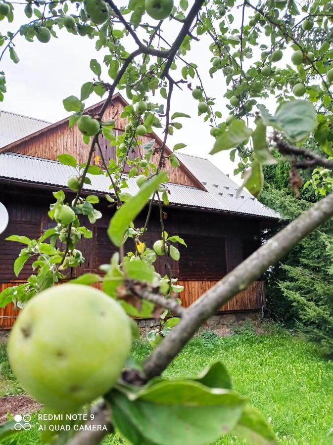 Gospodarstwo Agroturystyczne U Stasikow Spytkowice  Esterno foto