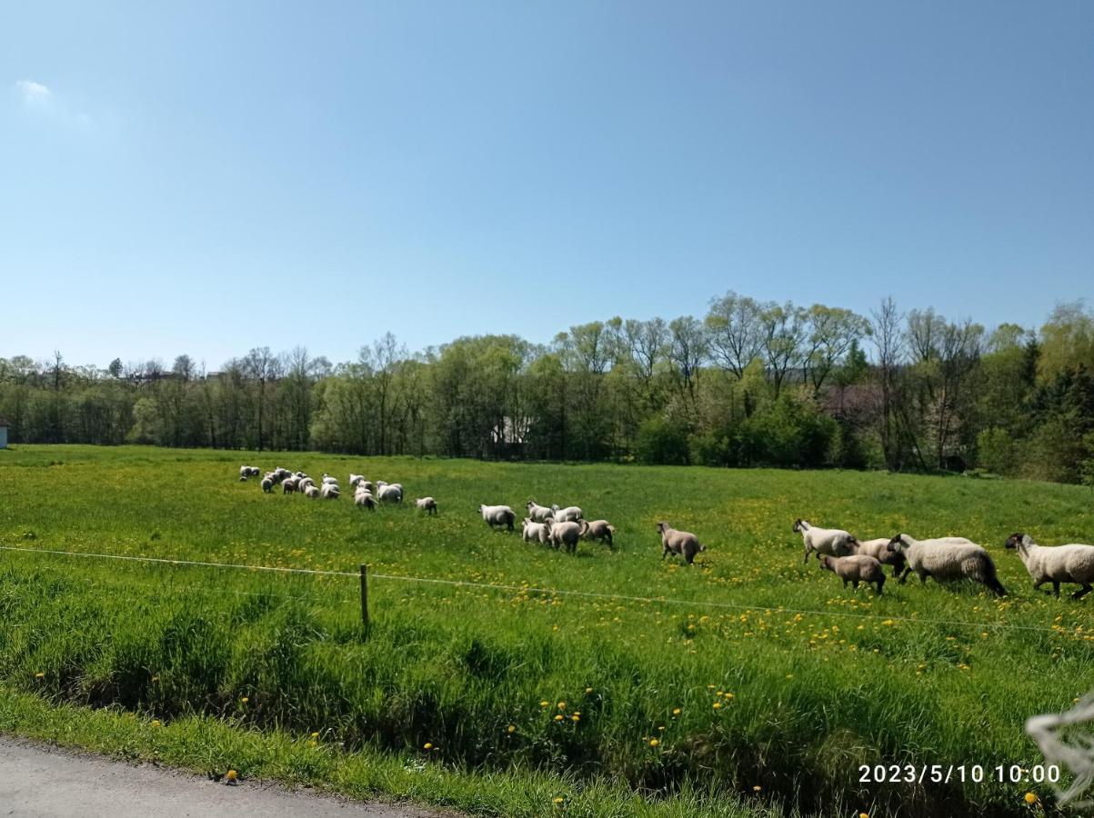 Gospodarstwo Agroturystyczne U Stasikow Spytkowice  Esterno foto